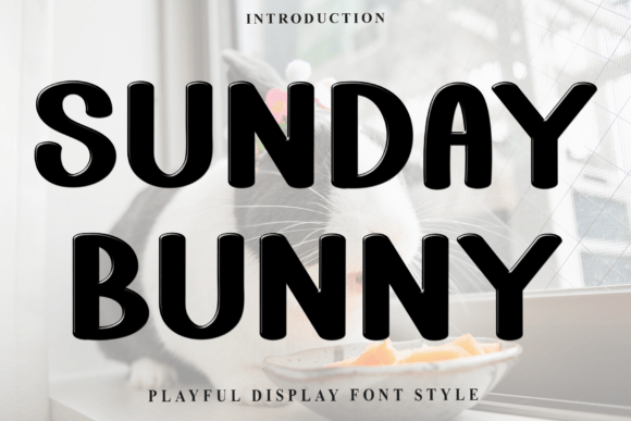 Sunday Bunny: A Soft Display Font for Editorial Design