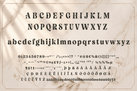 Velour Delamio: The Typeface That Commands Attention